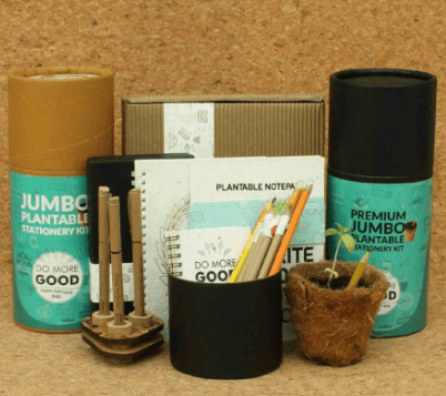 Plantable stationary products