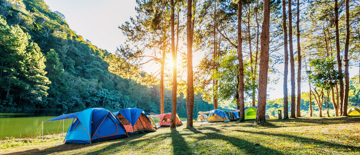 Sustainable Summer Camps: Eco-Friendly Fun for Kids