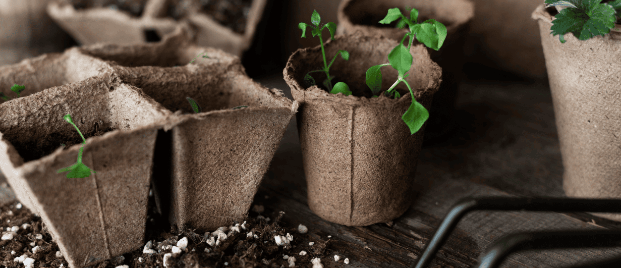 Eco friendly grow kits