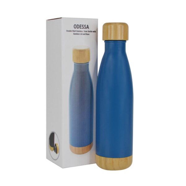 Giftology Double Wall Stainless Bottle Blue