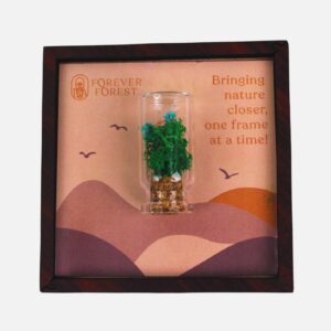 NATURE’S STAGE (Magnet)