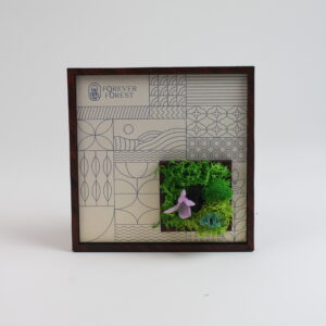 FOREST WINDOW