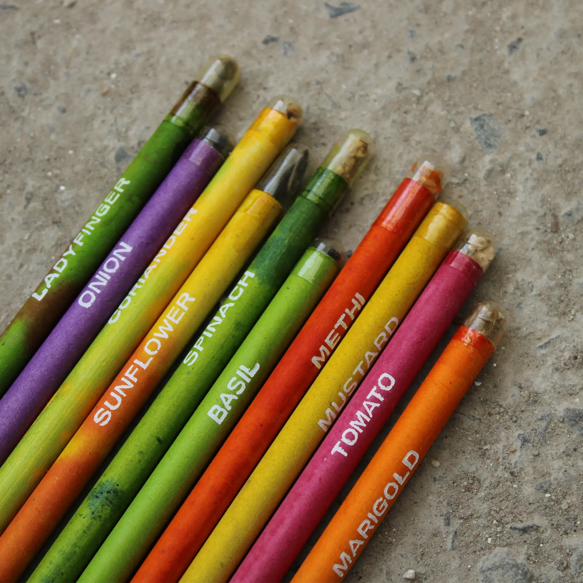 PLANTABLE SEED PENCIL