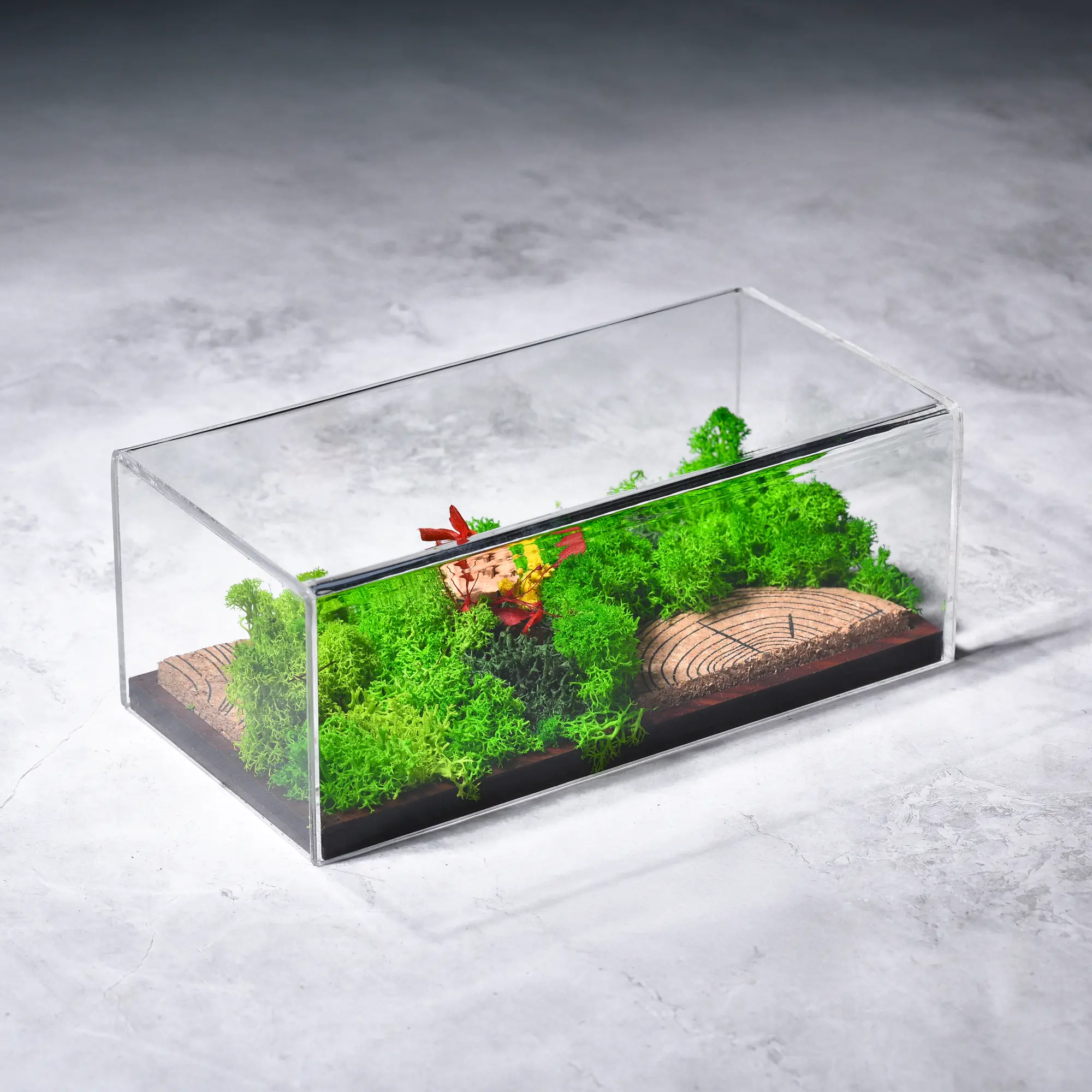 FOREST TERRARIUM LANDSCAPE