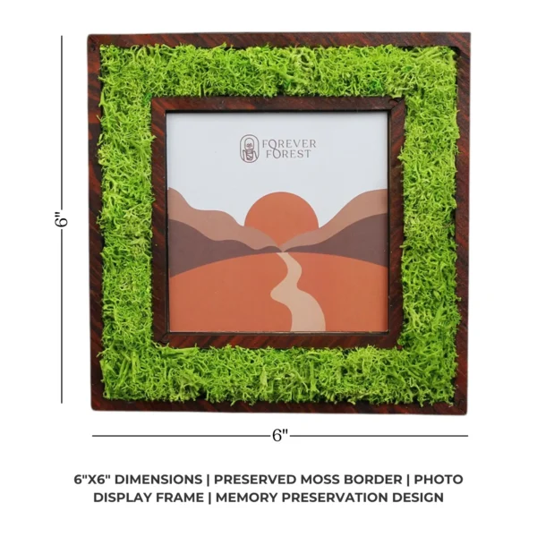 M Boder Frame FOREST BORDER FRAME