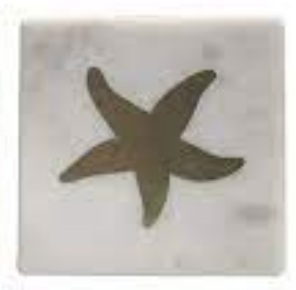 Marble Coasters with Starfish Brass Inlay