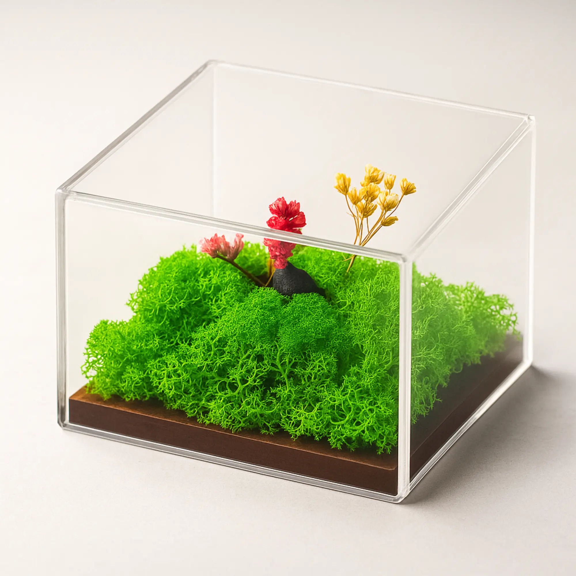 FOREST TERRARIUM DESKTOP