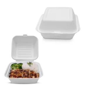 Bagasse Lunch Boxes – Eco-Friendly Biodegradable Disposable Boxes | Multiple Sizes & Compartments