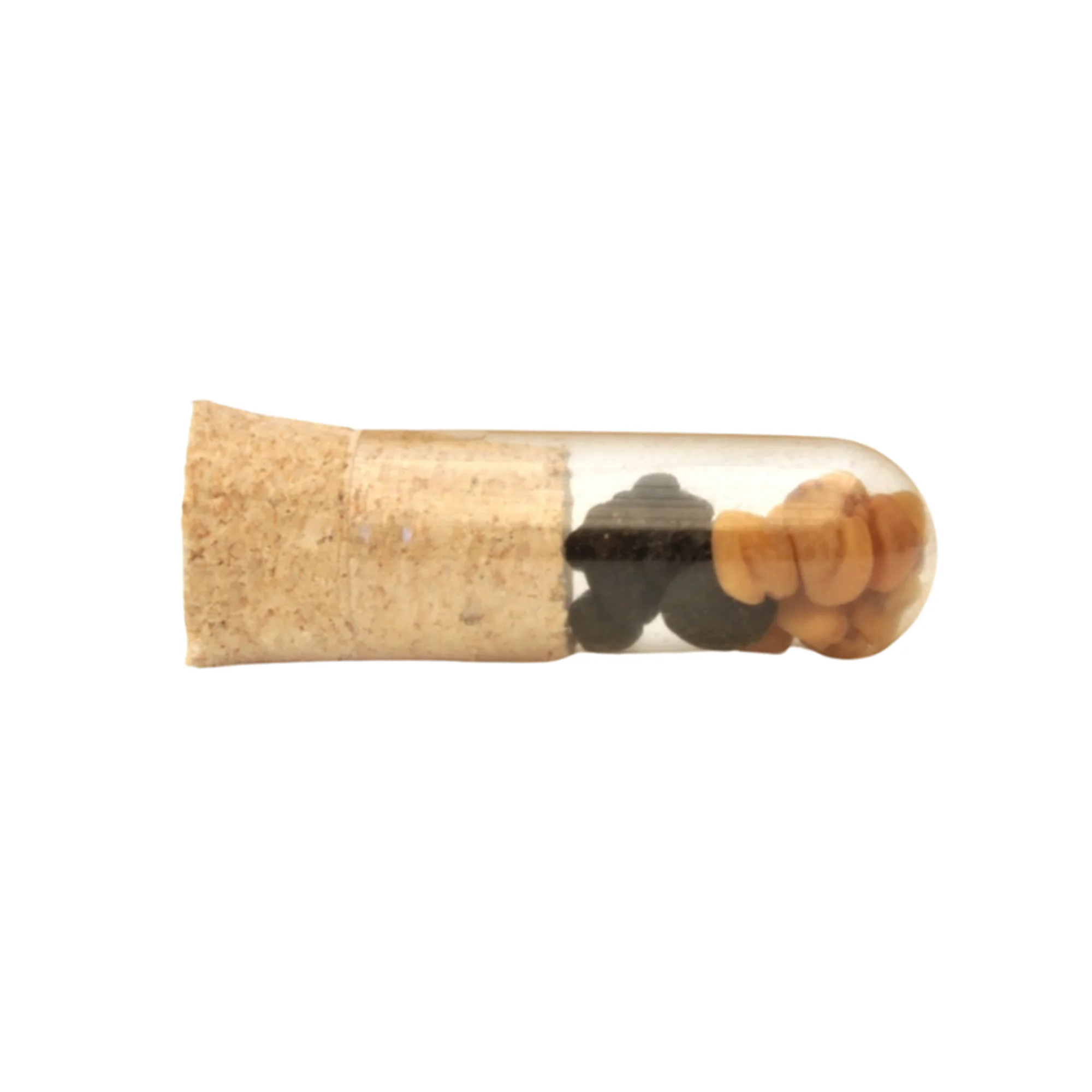 Seed Capsule