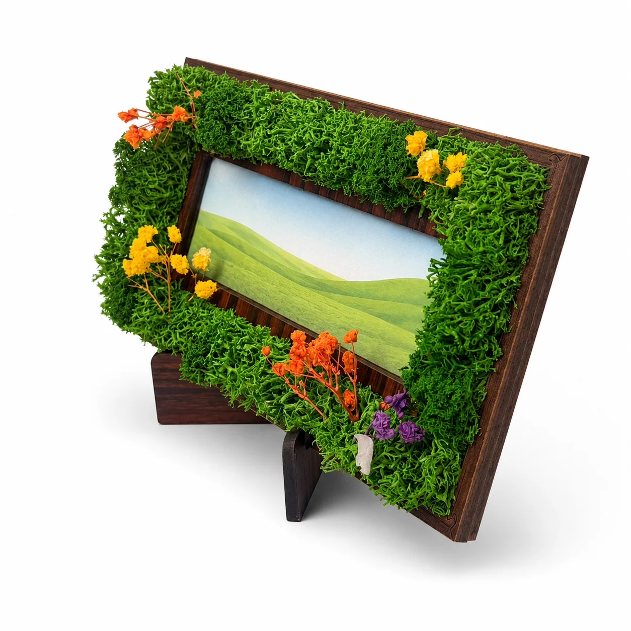 Forest Border Frame | 8" x 4"