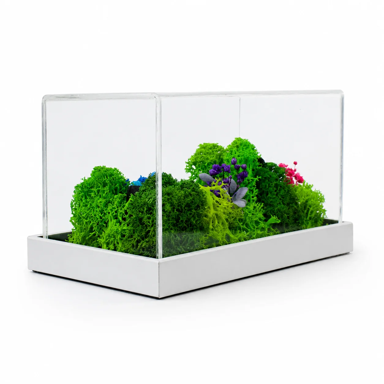Forest Terrarium Landscape | 6" x 3"