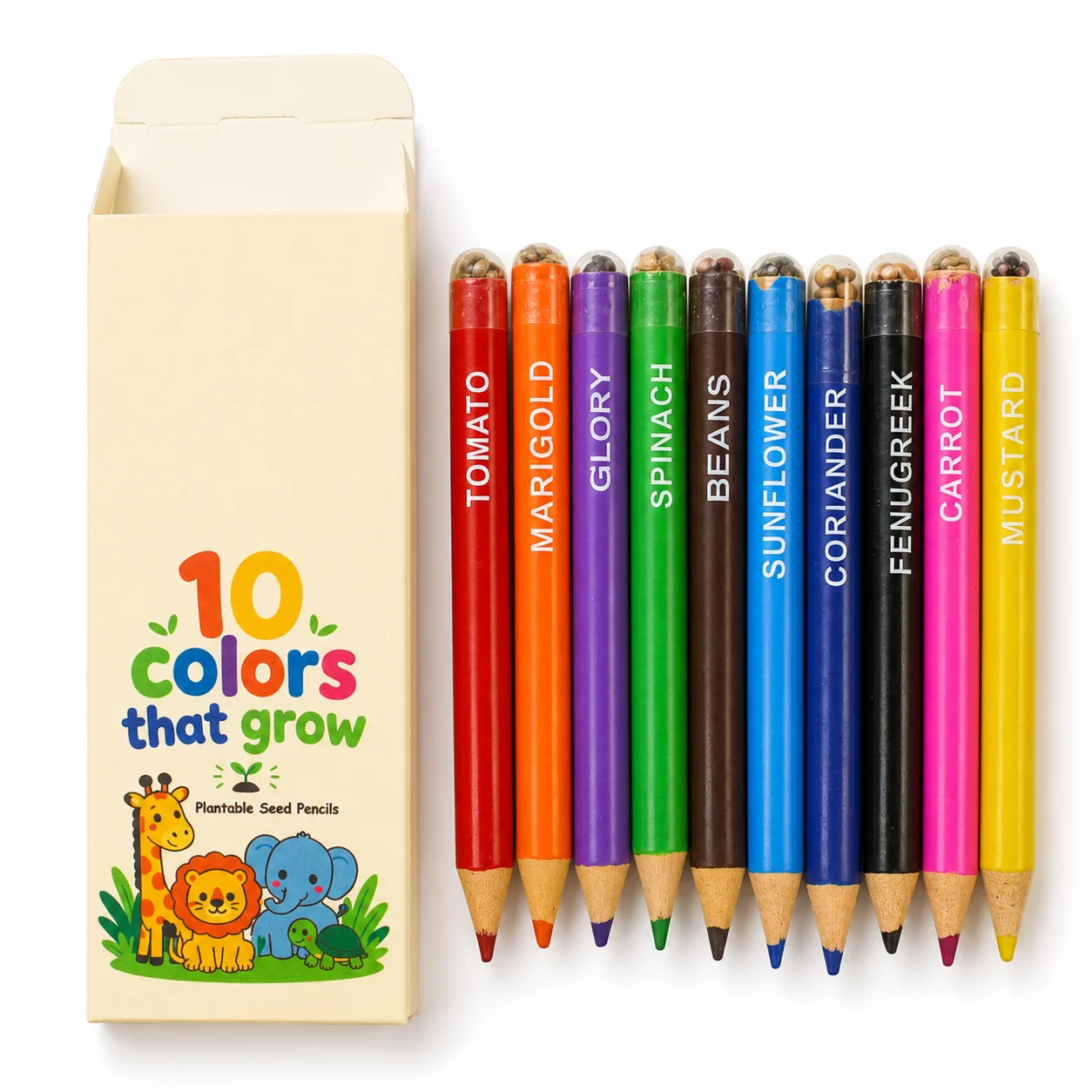 Plantable Colour Pencils (10pc Box)
