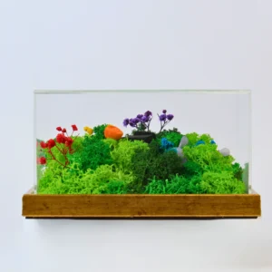 FOREST TERRARIUM CLASSIC