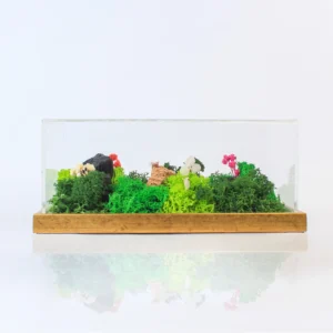FOREST TERRARIUM LANDSCAPE