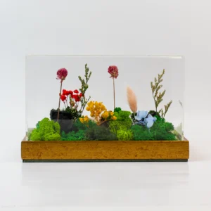 FOREST GARDEN TERRARIUM