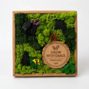 FOREST CHRONICLES CLASSIC