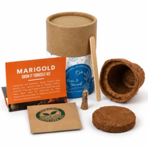 MINI GROW (GIY KIT)
