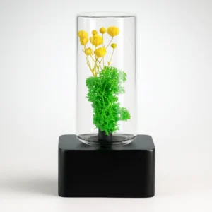 FOREST CUBE (BLACK)