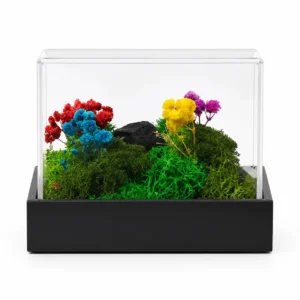 FOREST TERRARIUM DESKTOP
