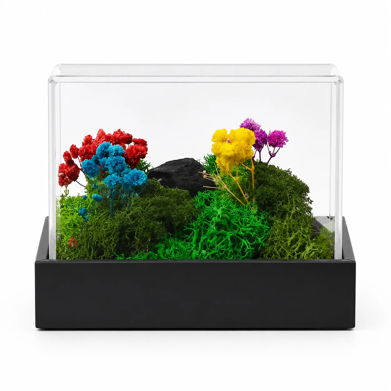 FOREST TERRARIUM DESKTOP