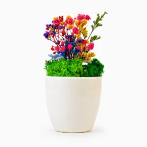 Ceramic Flower Pot