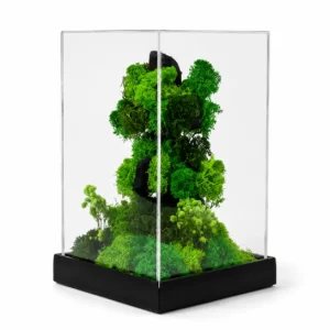 Forest Terrarium Rise