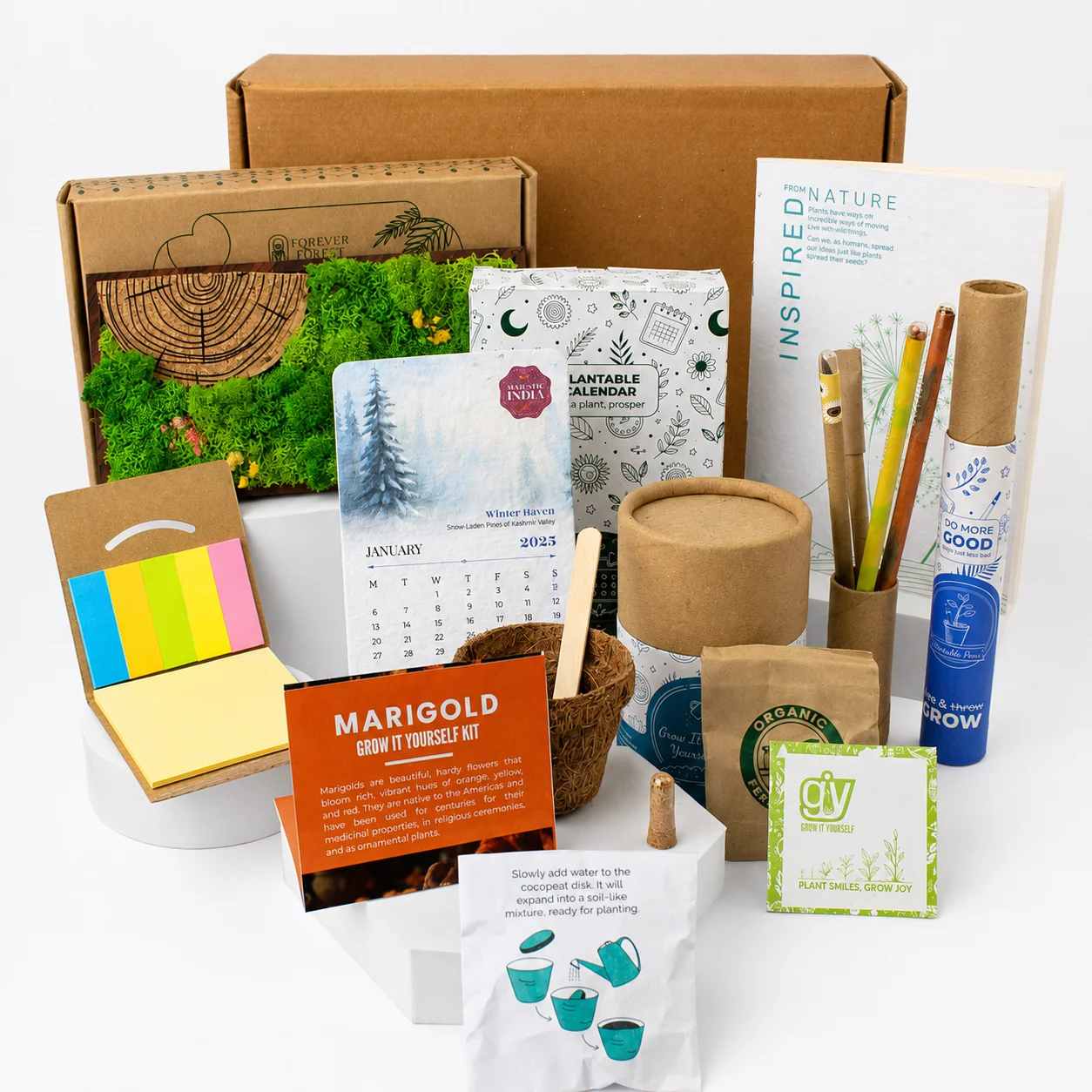 Forest Panorama Desk Gift Box
