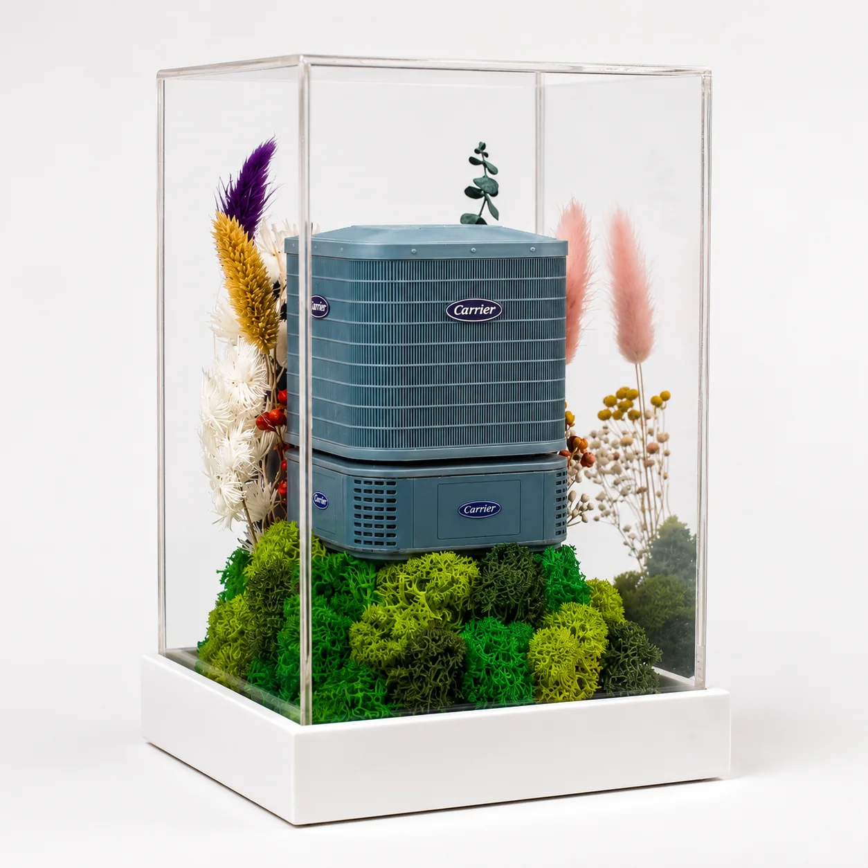 Forest Terrarium 9x5 (Your object)