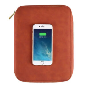 AO 16 EXECUTIVE HI-TECH PORTFOLIO